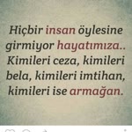 Rabia