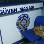 Metin