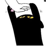 Fnk