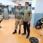 Halit