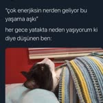 Belkıs