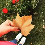 Arzu