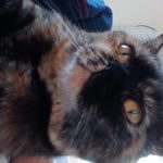 Eylül