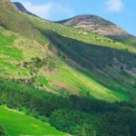 Doğan
