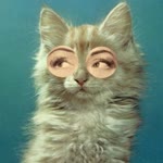 Anemon