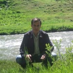 Lütfü