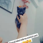 Yasemin