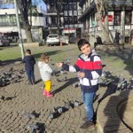 Soner