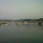 Yunus