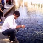 Fethi