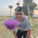 Hayri