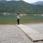Gül
