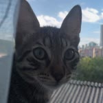 Kevser