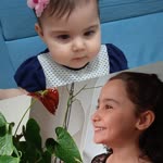 Ayşegül