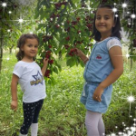Ayhan
