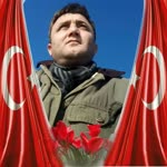 Arif