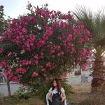 Pınar