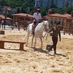 Burak