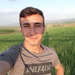 Tamer