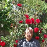 Suat