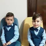 Arı