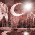 Bekir