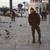 Fatih
