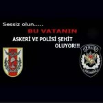 Erkan