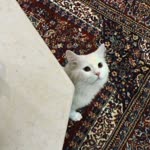 Beren