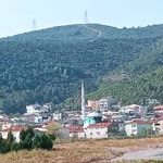 Şentürk
