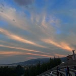 Gülhan