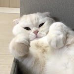 Sinem