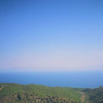 Sinem