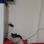 Profil fotoğrafı