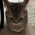 Gürkan