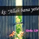 Arzu