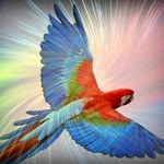 Meral