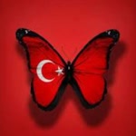 İlknur