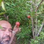 Erkan