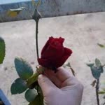 Sumeyra