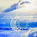 Rabia