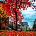 Seyhan