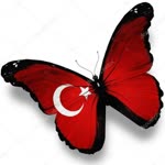 Yz Gşn