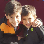 Şule