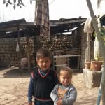 Mustafa