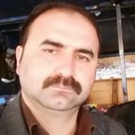 Polat