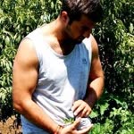 Erdem