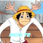 Musa