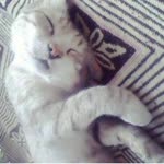 Fatoş