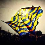 Erdal
